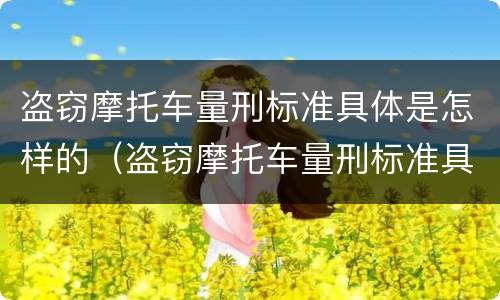 盗窃摩托车量刑标准具体是怎样的（盗窃摩托车量刑标准具体是怎样的处罚）