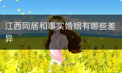 江西同居和事实婚姻有哪些差异