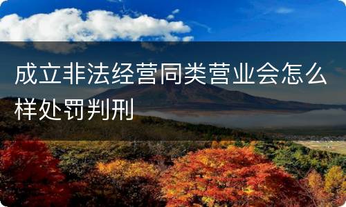 成立非法经营同类营业会怎么样处罚判刑
