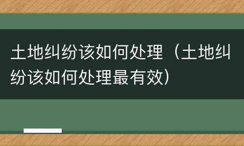 土地纠纷该如何处理（土地纠纷该如何处理最有效）