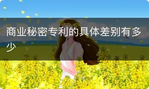 商业秘密专利的具体差别有多少