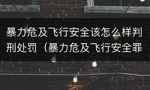 暴力危及飞行安全该怎么样判刑处罚（暴力危及飞行安全罪）