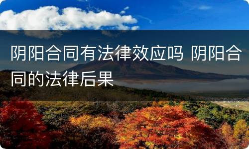 阴阳合同有法律效应吗 阴阳合同的法律后果