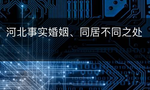 河北事实婚姻、同居不同之处