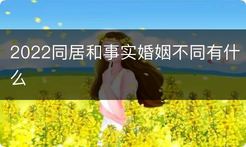 2022同居和事实婚姻不同有什么