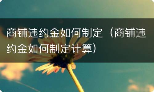 商铺违约金如何制定（商铺违约金如何制定计算）
