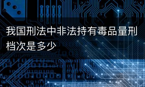 我国刑法中非法持有毒品量刑档次是多少