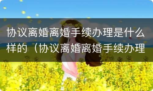 协议离婚离婚手续办理是什么样的（协议离婚离婚手续办理是什么样的流程）