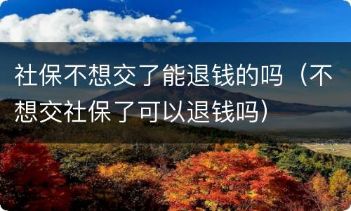 社保不想交了能退钱的吗（不想交社保了可以退钱吗）