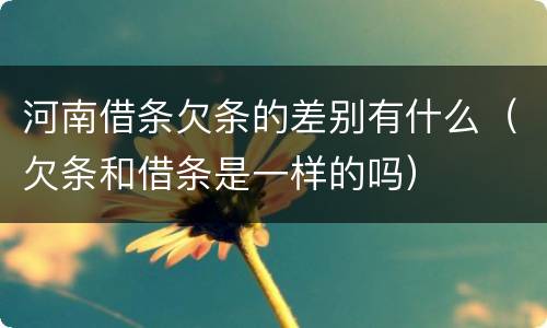 河南借条欠条的差别有什么（欠条和借条是一样的吗）