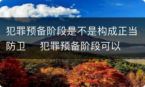 犯罪预备阶段是不是构成正当防卫	 犯罪预备阶段可以正当防卫吗