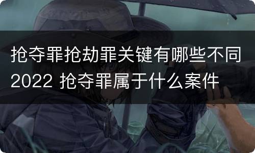 抢夺罪抢劫罪关键有哪些不同2022 抢夺罪属于什么案件