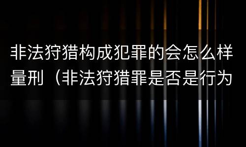 非法狩猎构成犯罪的会怎么样量刑（非法狩猎罪是否是行为犯）
