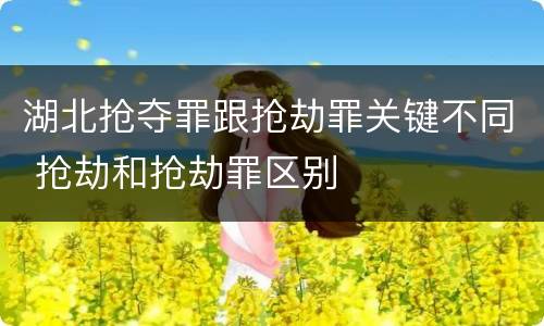 湖北抢夺罪跟抢劫罪关键不同 抢劫和抢劫罪区别