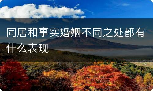 同居和事实婚姻不同之处都有什么表现