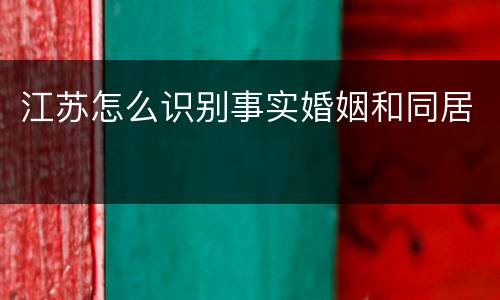 江苏怎么识别事实婚姻和同居