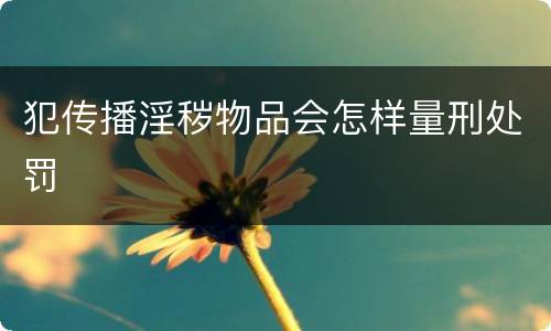 犯传播淫秽物品会怎样量刑处罚
