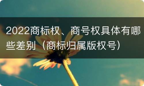 2022商标权、商号权具体有哪些差别（商标归属版权号）