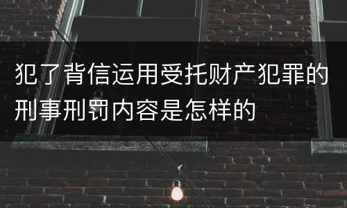 犯了背信运用受托财产犯罪的刑事刑罚内容是怎样的