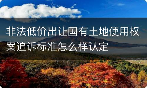 非法低价出让国有土地使用权案追诉标准怎么样认定