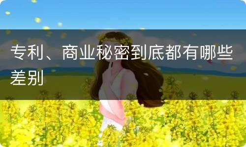专利、商业秘密到底都有哪些差别