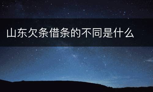 山东欠条借条的不同是什么