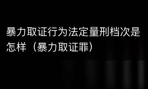 暴力取证行为法定量刑档次是怎样（暴力取证罪）