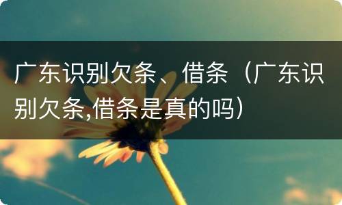 广东识别欠条、借条（广东识别欠条,借条是真的吗）