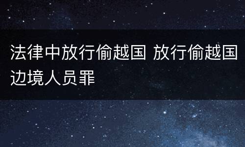 法律中放行偷越国 放行偷越国边境人员罪
