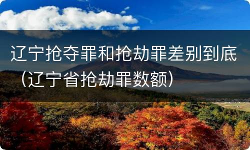 辽宁抢夺罪和抢劫罪差别到底（辽宁省抢劫罪数额）