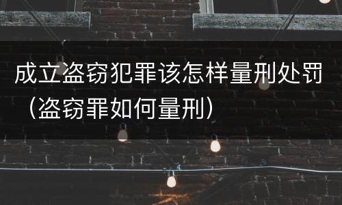 成立盗窃犯罪该怎样量刑处罚（盗窃罪如何量刑）