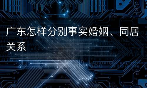 广东怎样分别事实婚姻、同居关系