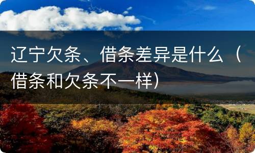 辽宁欠条、借条差异是什么（借条和欠条不一样）
