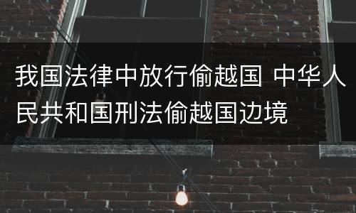 我国法律中放行偷越国 中华人民共和国刑法偷越国边境
