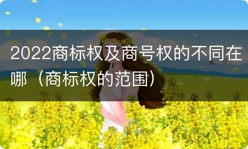 2022商标权及商号权的不同在哪（商标权的范围）