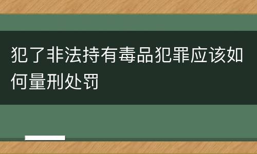 犯了非法持有毒品犯罪应该如何量刑处罚