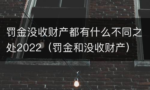 罚金没收财产都有什么不同之处2022（罚金和没收财产）