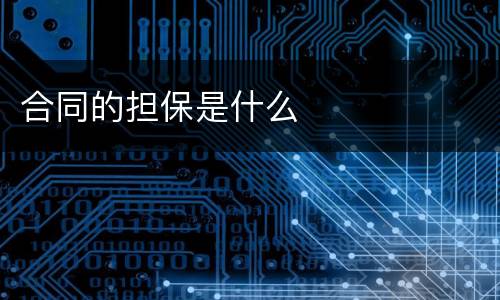 合同的担保是什么