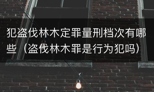 犯盗伐林木定罪量刑档次有哪些（盗伐林木罪是行为犯吗）