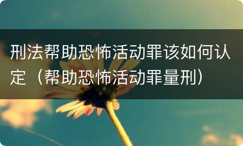 刑法帮助恐怖活动罪该如何认定（帮助恐怖活动罪量刑）