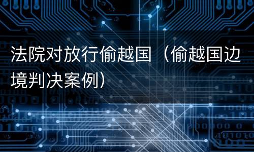 法院对放行偷越国（偷越国边境判决案例）