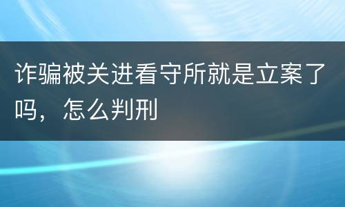 诈骗被关进看守所就是立案了吗，怎么判刑