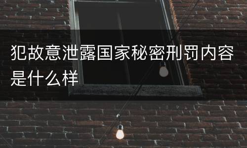犯故意泄露国家秘密刑罚内容是什么样