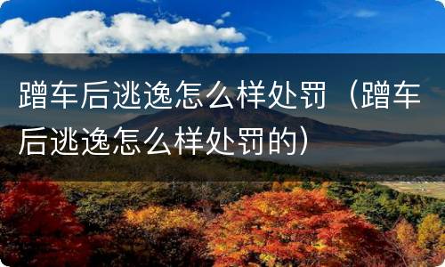 蹭车后逃逸怎么样处罚（蹭车后逃逸怎么样处罚的）