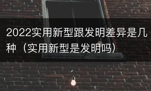 2022实用新型跟发明差异是几种（实用新型是发明吗）