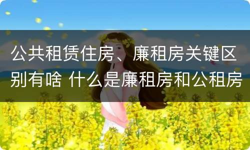 公共租赁住房、廉租房关键区别有啥 什么是廉租房和公租房两个有什么特点