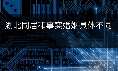 湖北同居和事实婚姻具体不同