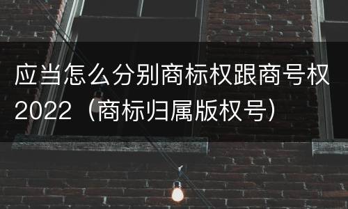应当怎么分别商标权跟商号权2022（商标归属版权号）