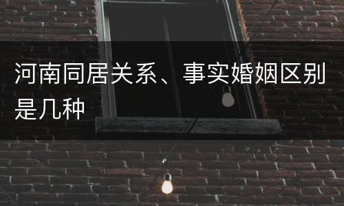 河南同居关系、事实婚姻区别是几种