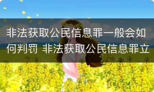 非法获取公民信息罪一般会如何判罚 非法获取公民信息罪立案标准